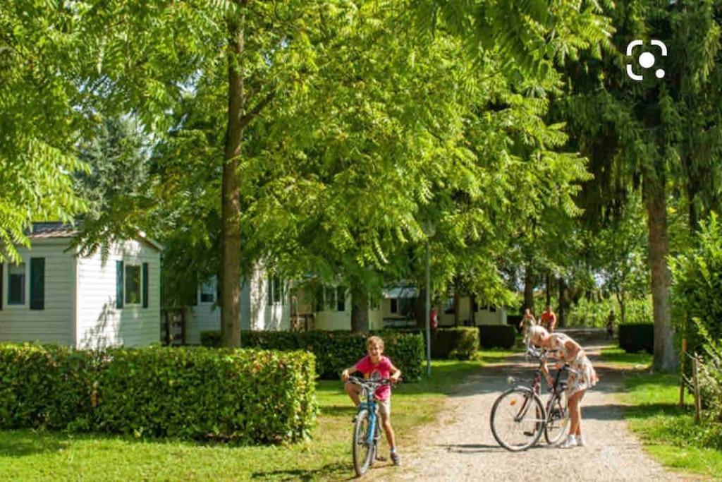 Location Mh Situee A 15 Mn D Europa Park Et Rulantika Leilighet Boofzheim Eksteriør bilde